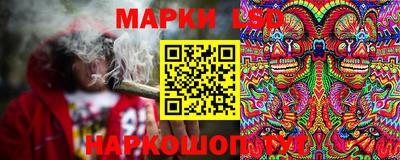 дурь Кингисепп