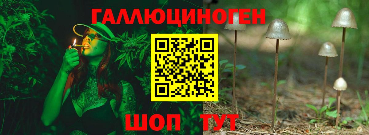 Комсомольск-на-Амуре  Псилоцибиновые грибы прущие грибы  Вход с VPN 
